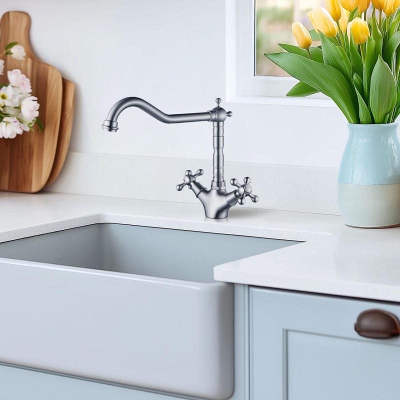 AquaTrimo Windsor klasická kuchyňa nostalgická kuchynská batéria s uhlovým výtokom RVS 21WS7531NM