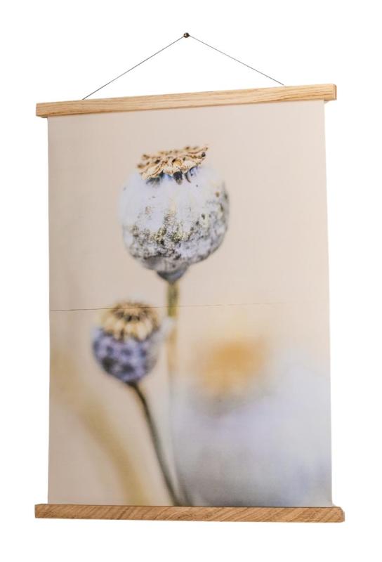 Woodsea Frame M - Dubový magnetický rám M (A3) 1208971604